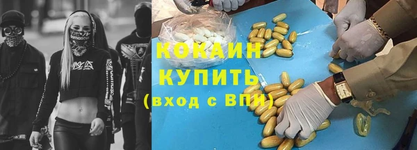 гидра Аркадак