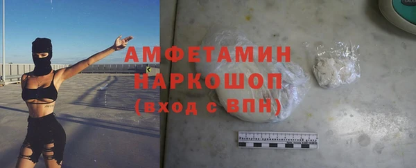 гидра Аркадак
