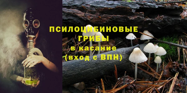 экстази Арсеньев