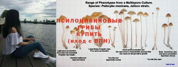 гашишное масло Армянск